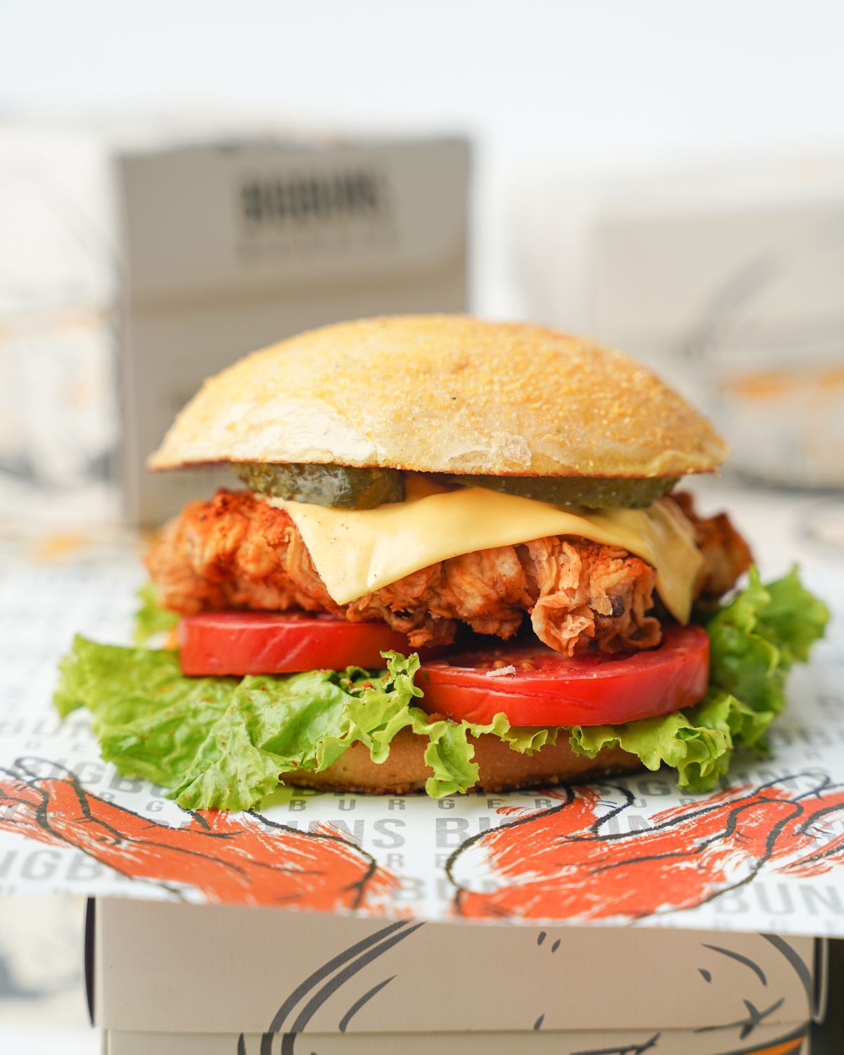 Chicken Burger with ketchup on dark plate